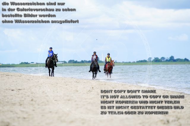 s_K3F05078.JPG